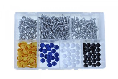 ASSORTMENT OF LICENSE PLATE SCREWS + CAP 350-PIECE (1)