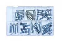 ASSORTMENT OF HEXAGON SOCKET SCREWS M6:M12 48 PCS (1)