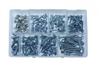 ASSORTMENT OF DRILL SCREWS ELECTROLYTIC ZINC PLATED HEXAGONAL LARGE 160-PIECE (1)