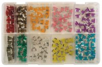 ASSORTIMENT FUSIBLES MINI À PROFIL BAS 100 PIÈCES (1PC)