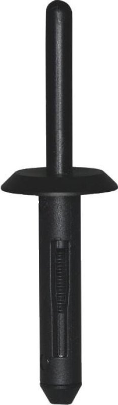 BLIND KLINKNAGEL KUNSTSTOF ZWART 6,0X31,5 DIAMETER=17 (20ST)