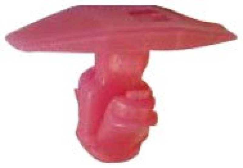 CLIP HUYNDAI KIA OE: 877562W000 (10ST)