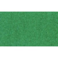 TISSU DE PLAGE ARRIÈRE TENDANCE VERT CLAIR 75X140CM (1PC)