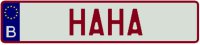 Plexi Personalized License Plate (52x11cm)