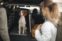 THULE Hondenmat Breed Voor Hondenbench | 770103