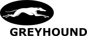 greyhound