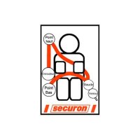 SECURON 4-point seat belt, 2.9m