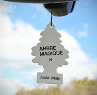 Désodorisant ARBRE MAGIQUE - Pièce De Monnaie