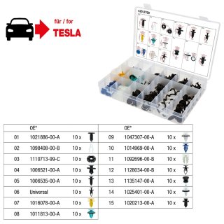 Ks-tools Chevilles de fixation Pour Tesla, 150pcs