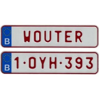 Metal mini license plate fantasy plate (17x4 cm)