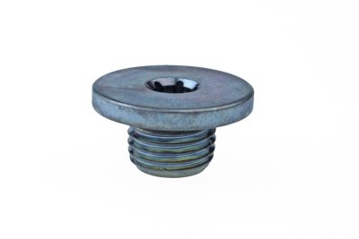 Sump plug Opel M14x1,5x10 Torx (1)