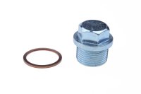 Sump plug M22x1,5 cap19 Bmw+ring (1)