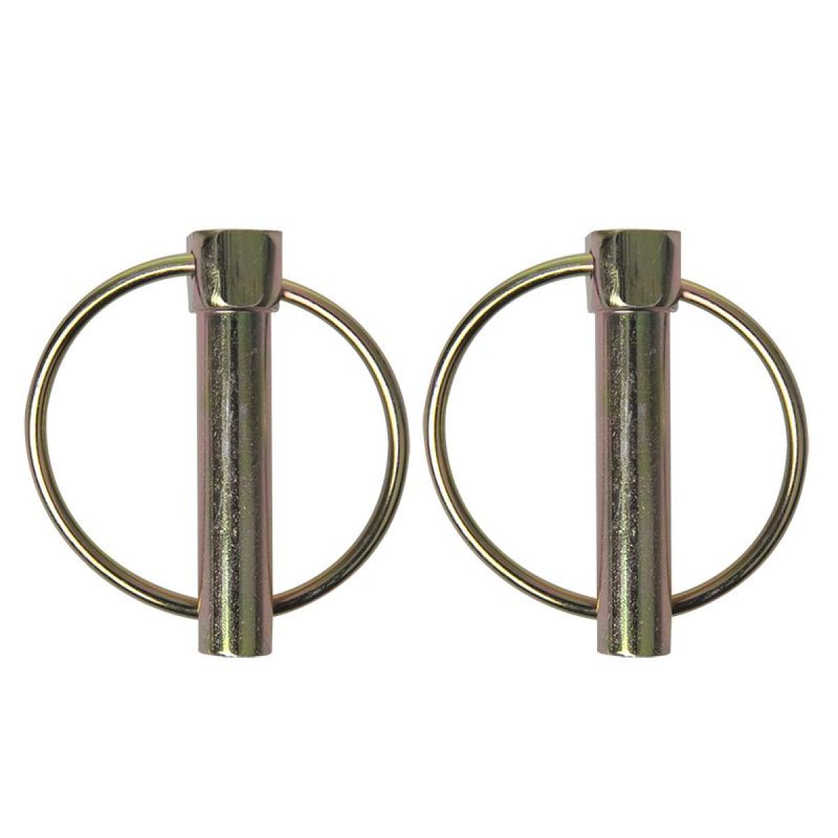 PROPLUS Borgpen Met Ring 10mm (2 Stuks)