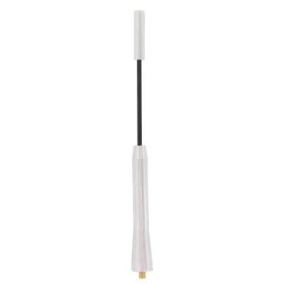 Tige D'antenne SINATEC Aluminium 17cm Avec Pièces D'adaptation M5/m6