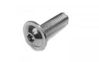 I7380FL LOW HEAD FLANGE BOLT BZK EV M10X16 (50PCS)