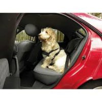 CARPOINT Ceinture Pour Chien Pour La Voiture, Taille M