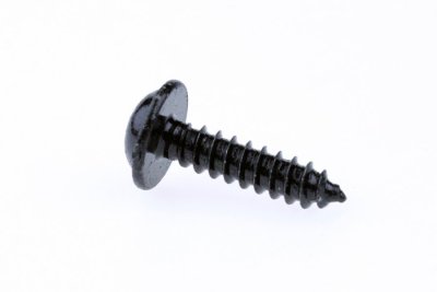 VIS À TÔLE + COLLET NOIRE TORX 3,9X16 (100PC)